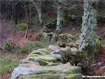 Trilho das Terras de Granito