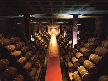 Visita Guiada - Aliança Underground Museum