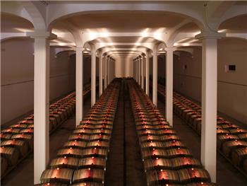 Visita Guiada a la Bodega - Adega Campolargo