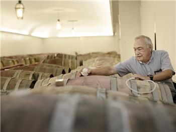 Visita Guiada à Adega Luis Pato