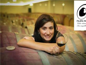 Visita Guiada à Adega Filipa Pato Harmonizada com Prova de Vinhos