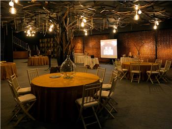 Enogastronomic Services - Aliança Vinhos de Portugal