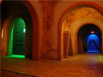 Visita à Adega de Cantanhede