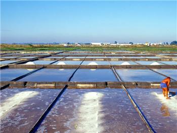 Salinas de Aveiro