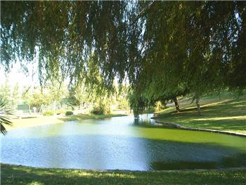 Baixa de Santo António