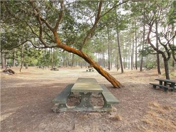 Parque de Lazer da Vagueira