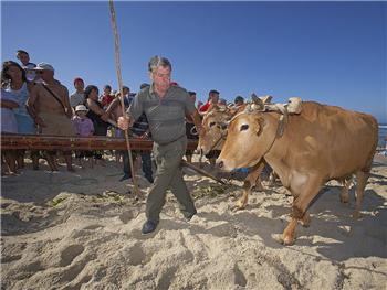 Arte Xávega na Praia da Vagueira
