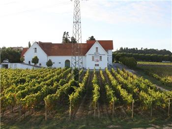 Estação Vitivinícola