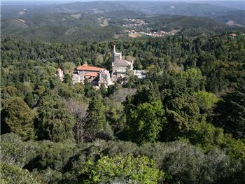 Mata Nacional do Buçaco