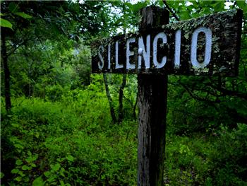 Reserva Natural do Paul de Arzila