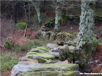 Trilho das Terras de Granito