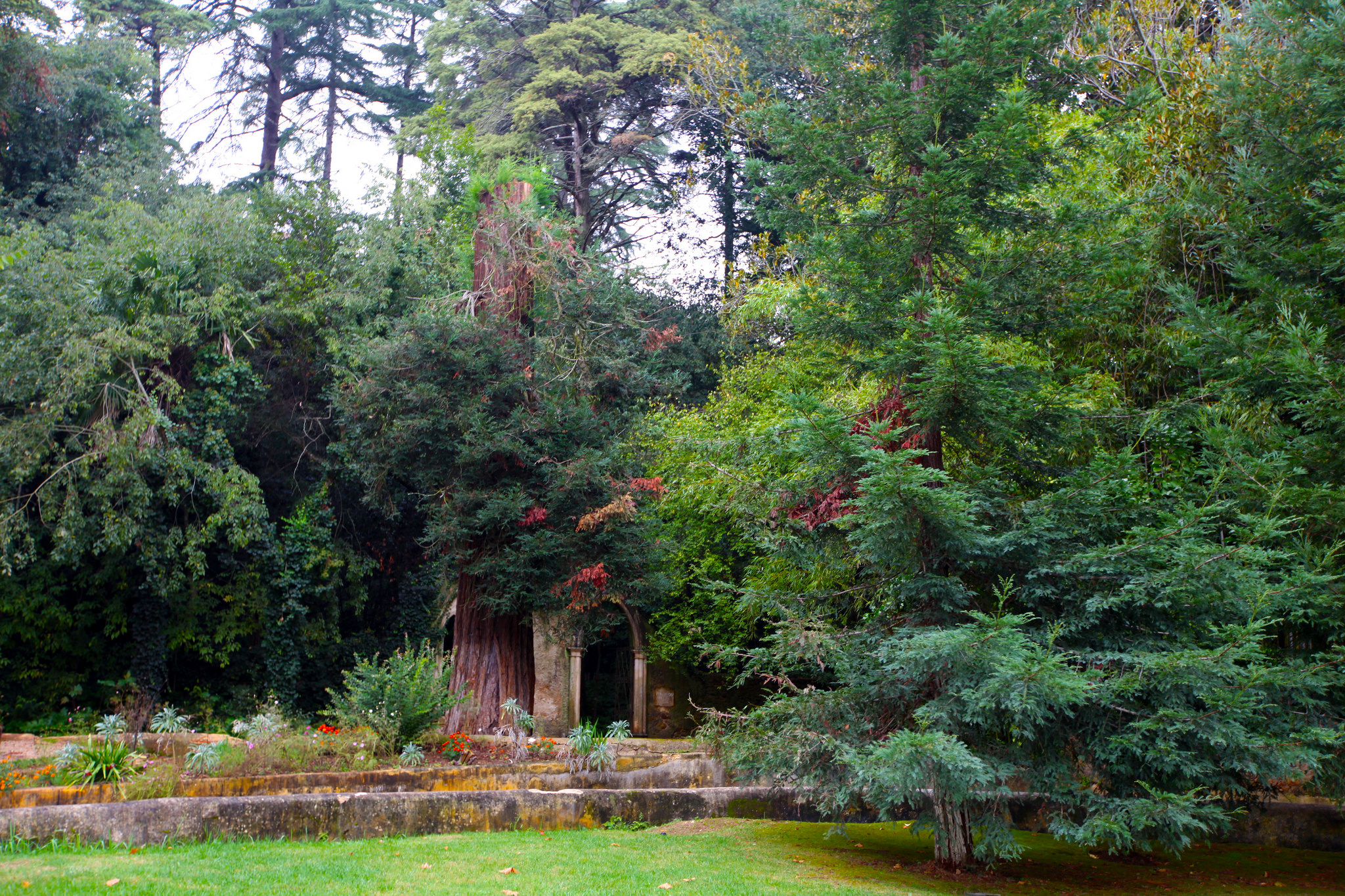 Quinta das Lágrimas