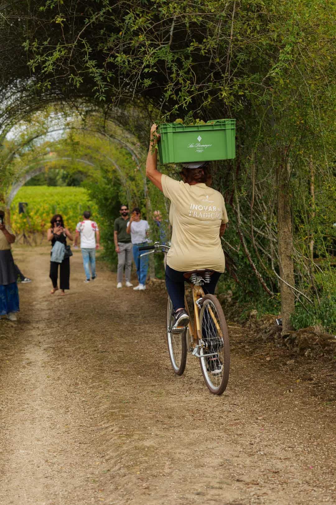 Caves do Solar de São Domingos