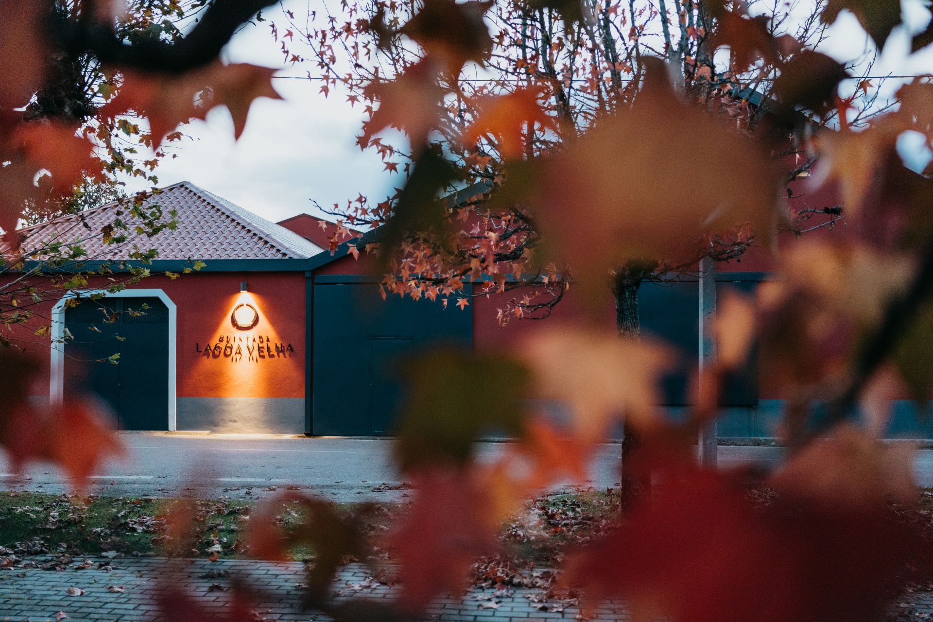 Quinta da Lagoa Velha