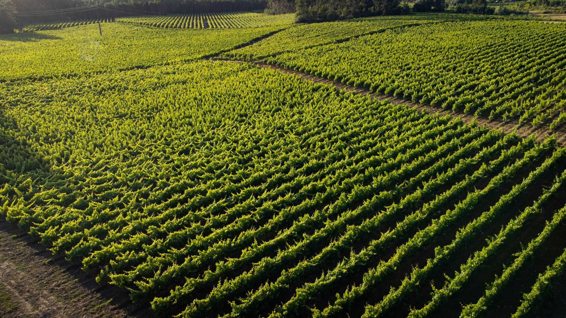 Quinta da Lagoa Velha