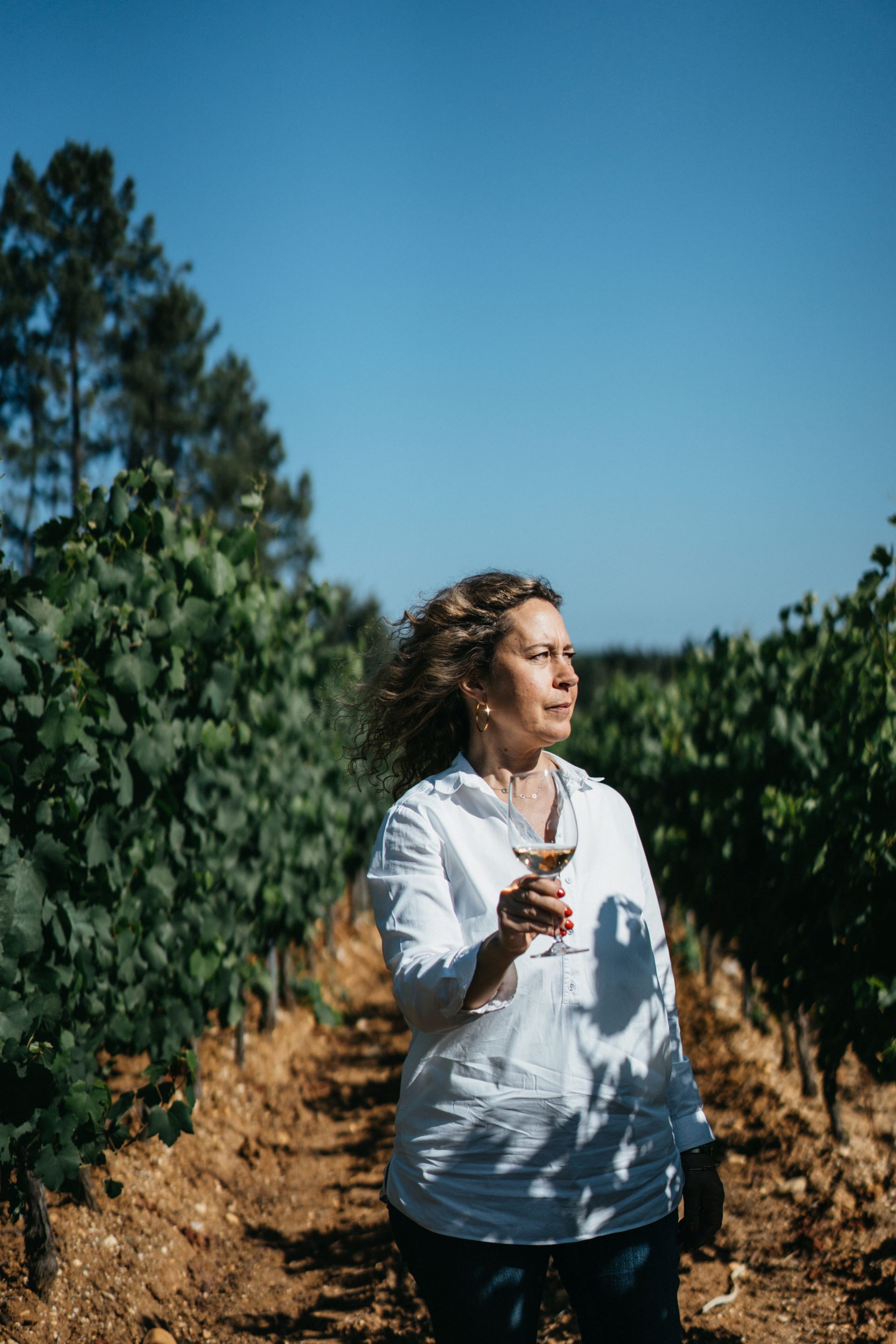 Quinta da Lagoa Velha