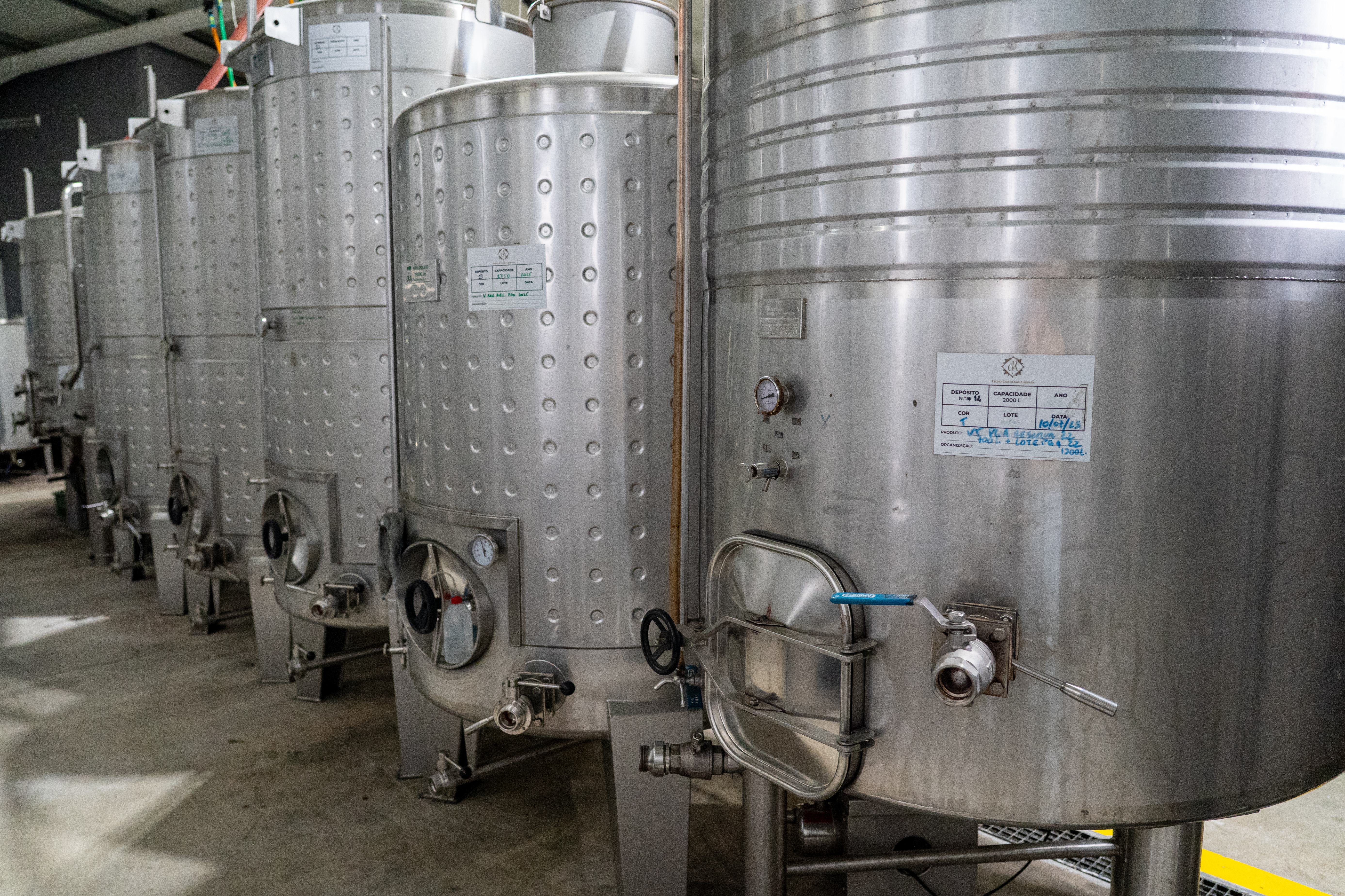 PGA - Pedro Guilherme Andrade