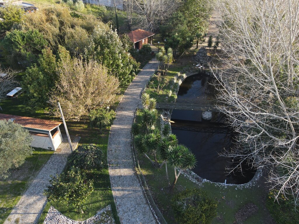 Fountain Drink and Go Garden