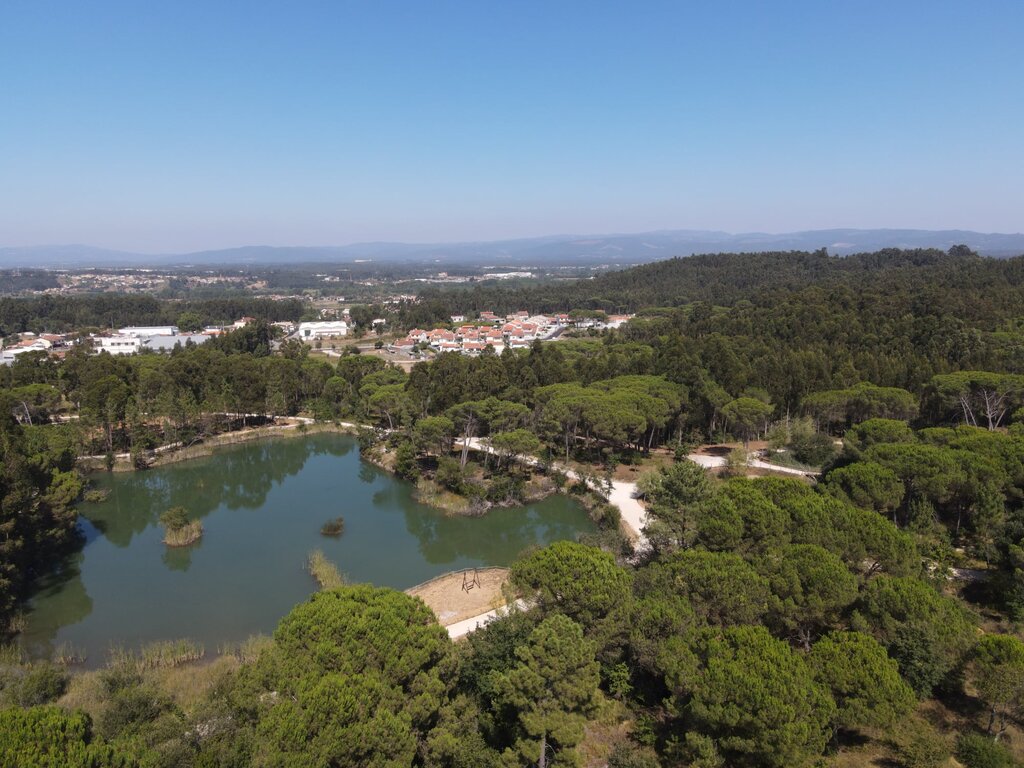 Parque dos Pinheiros Mansos