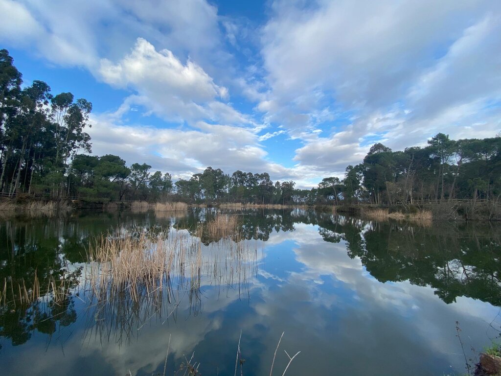 Parque dos Pinheiros Mansos