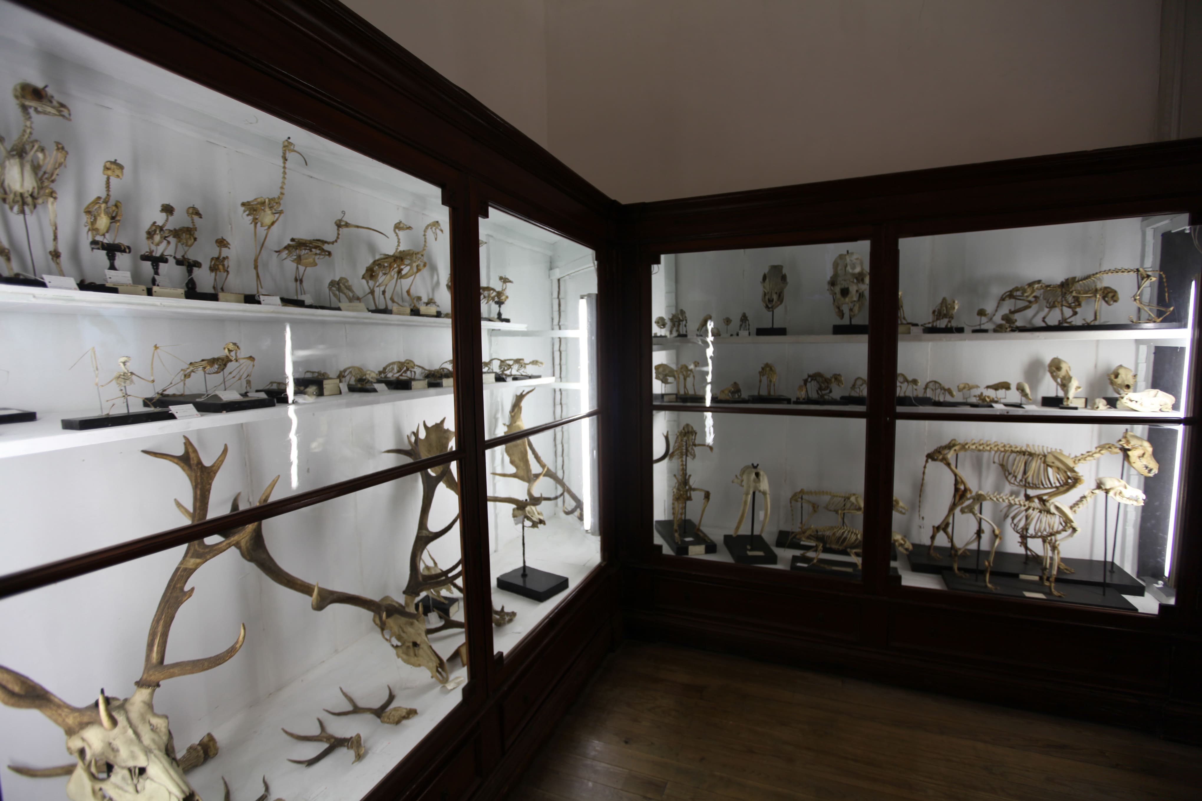 Museu Ciência - Science Museum