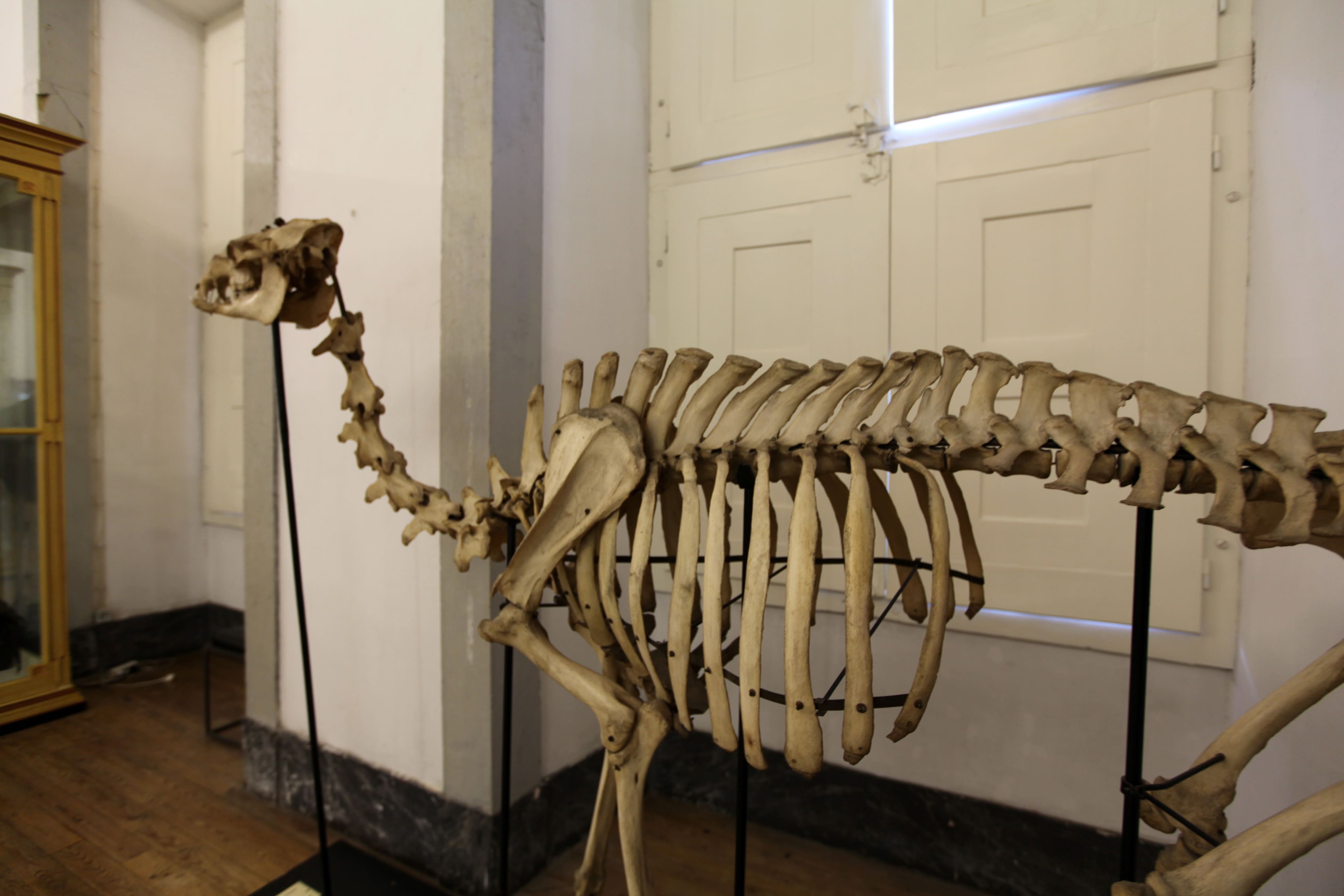 Museu Ciência - Science Museum