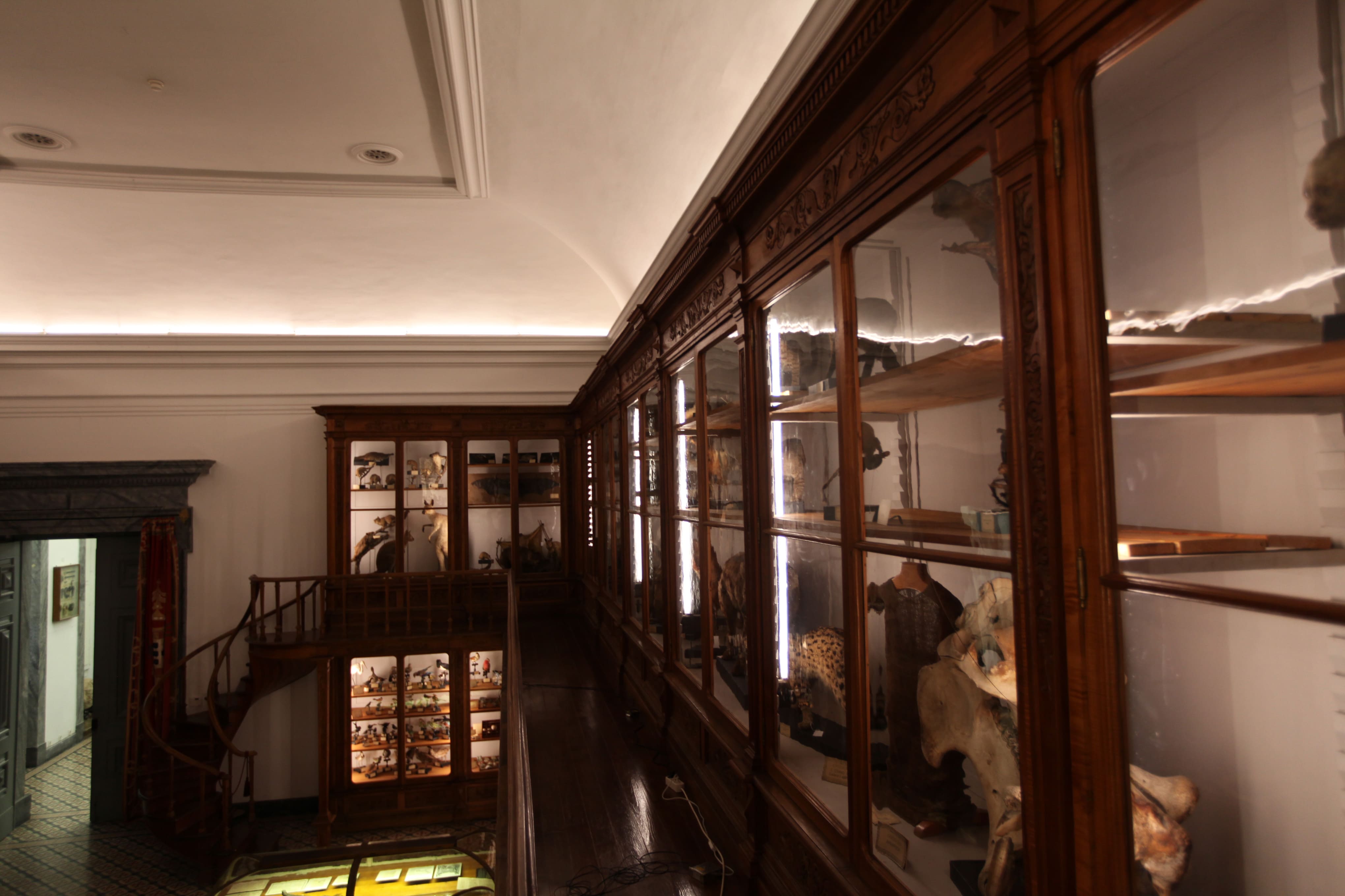 Museu Ciência - Science Museum