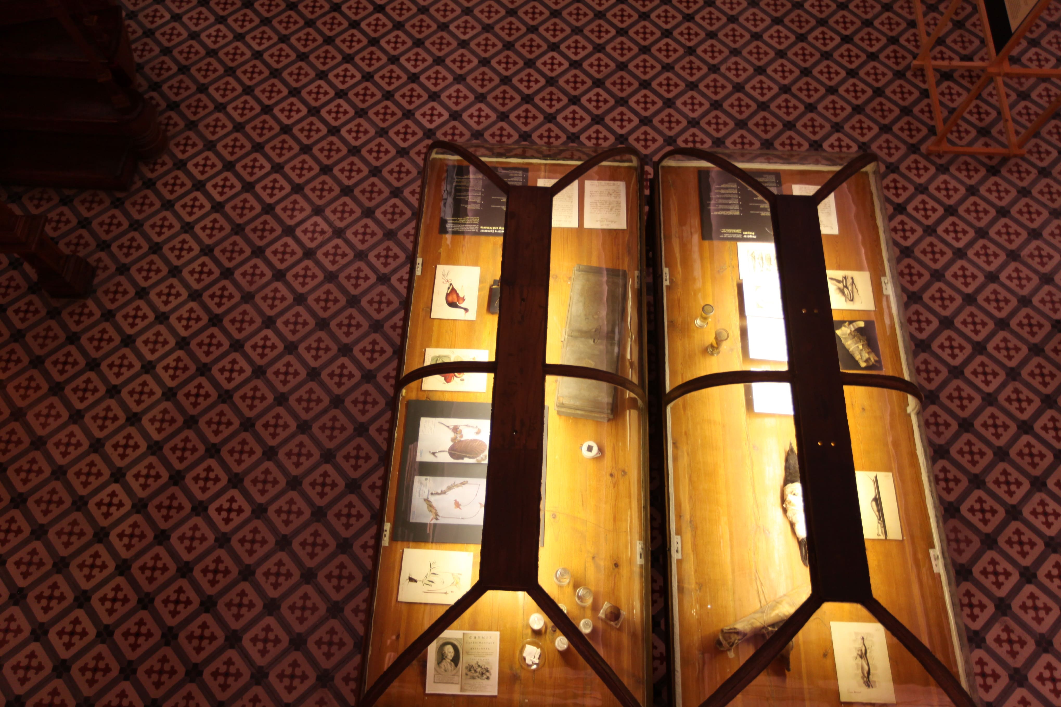 Museu Ciência - Science Museum