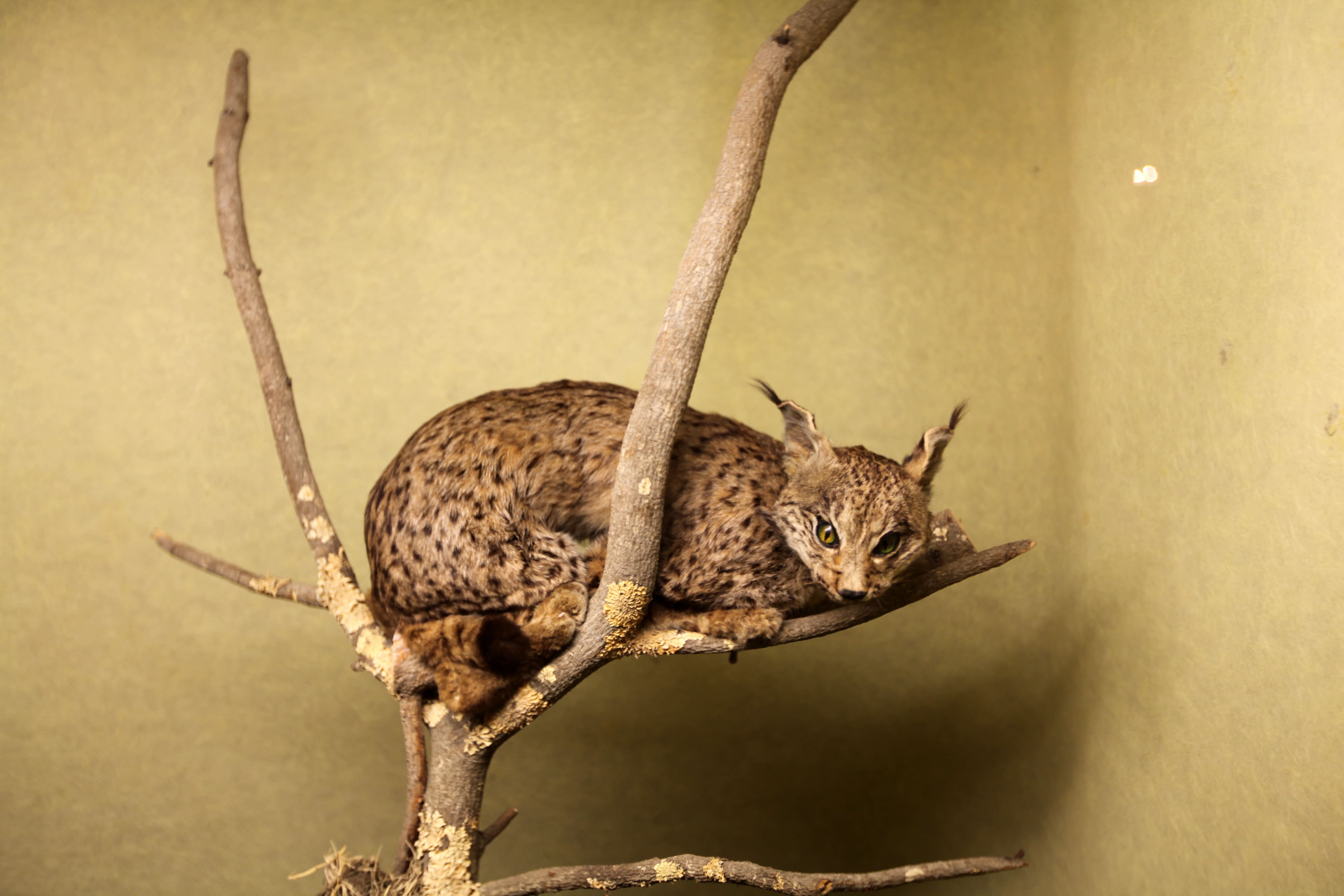 Museu Ciência - Science Museum