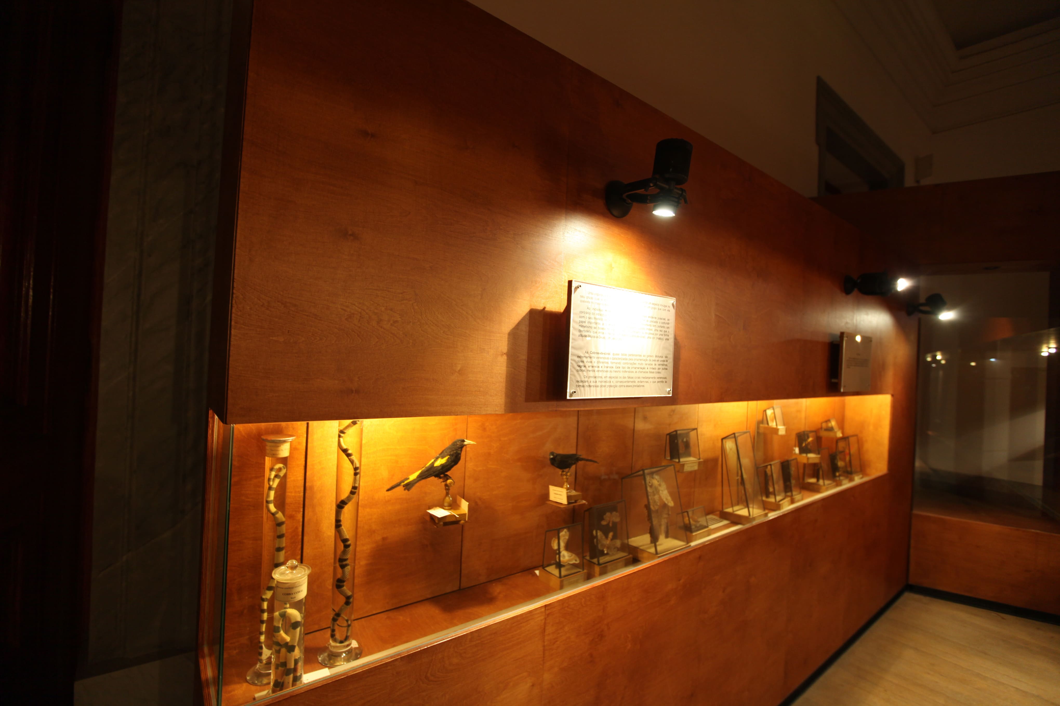 Museu Ciência - Science Museum