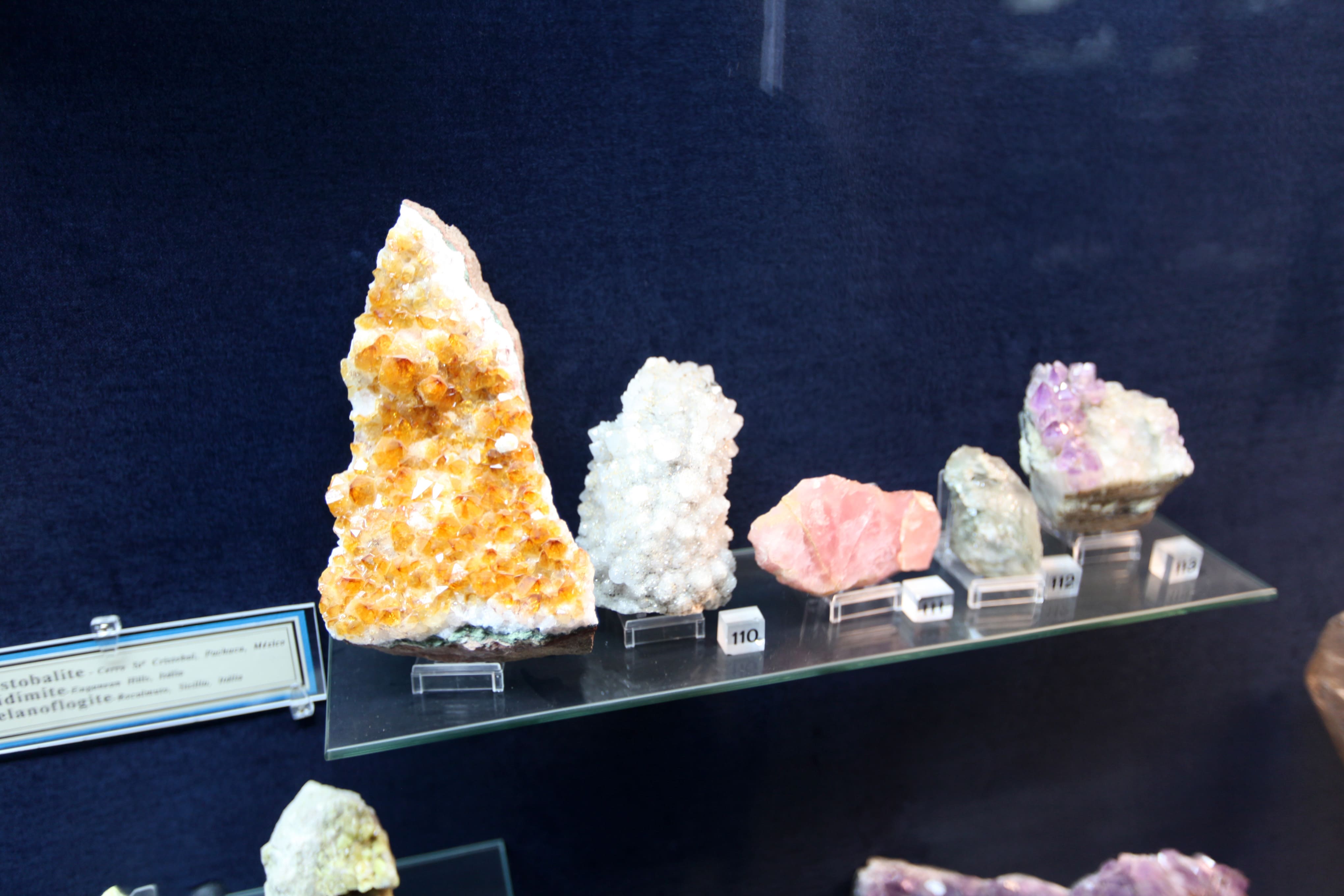 Museu Ciência - Science Museum