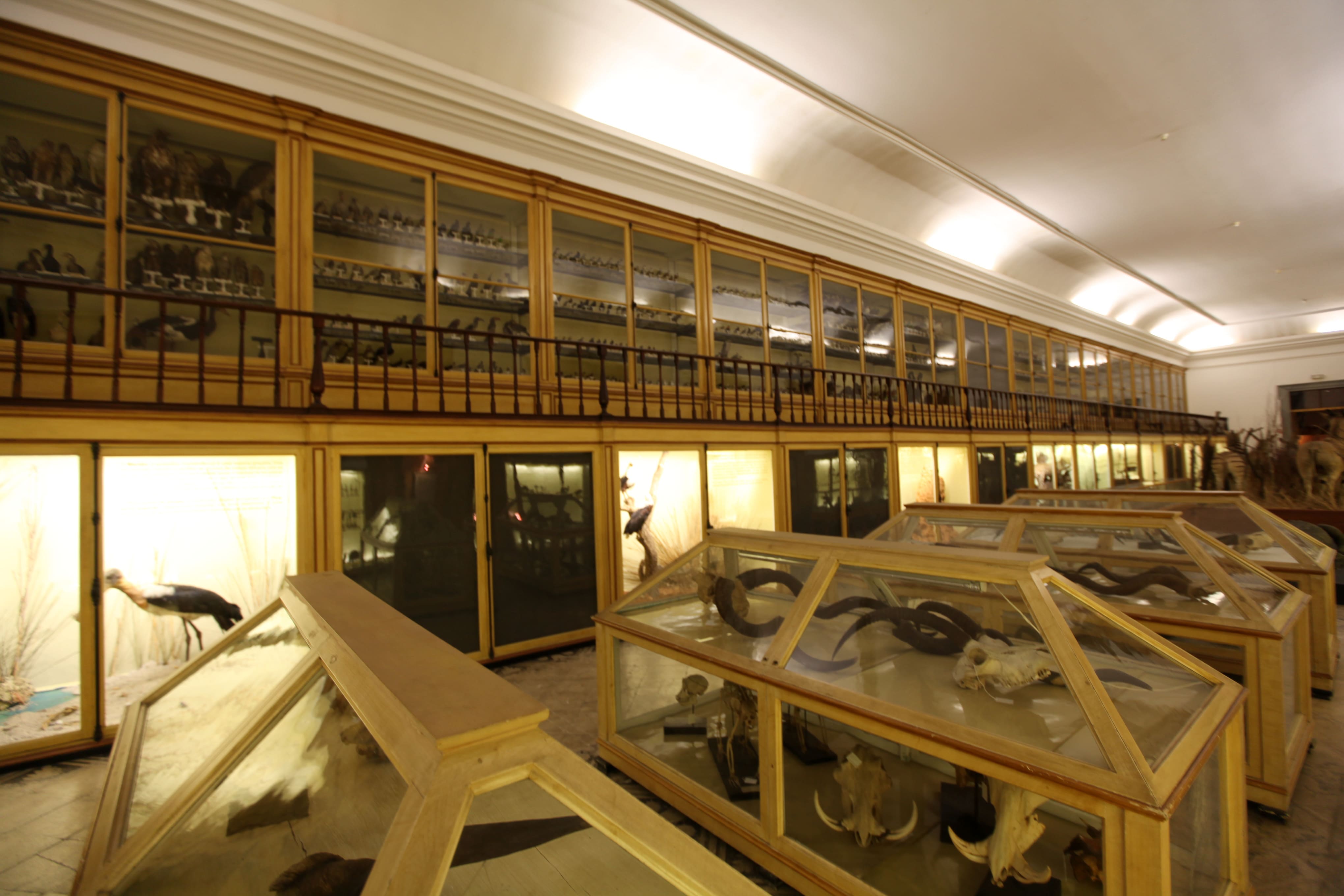 Museu Ciência - Science Museum