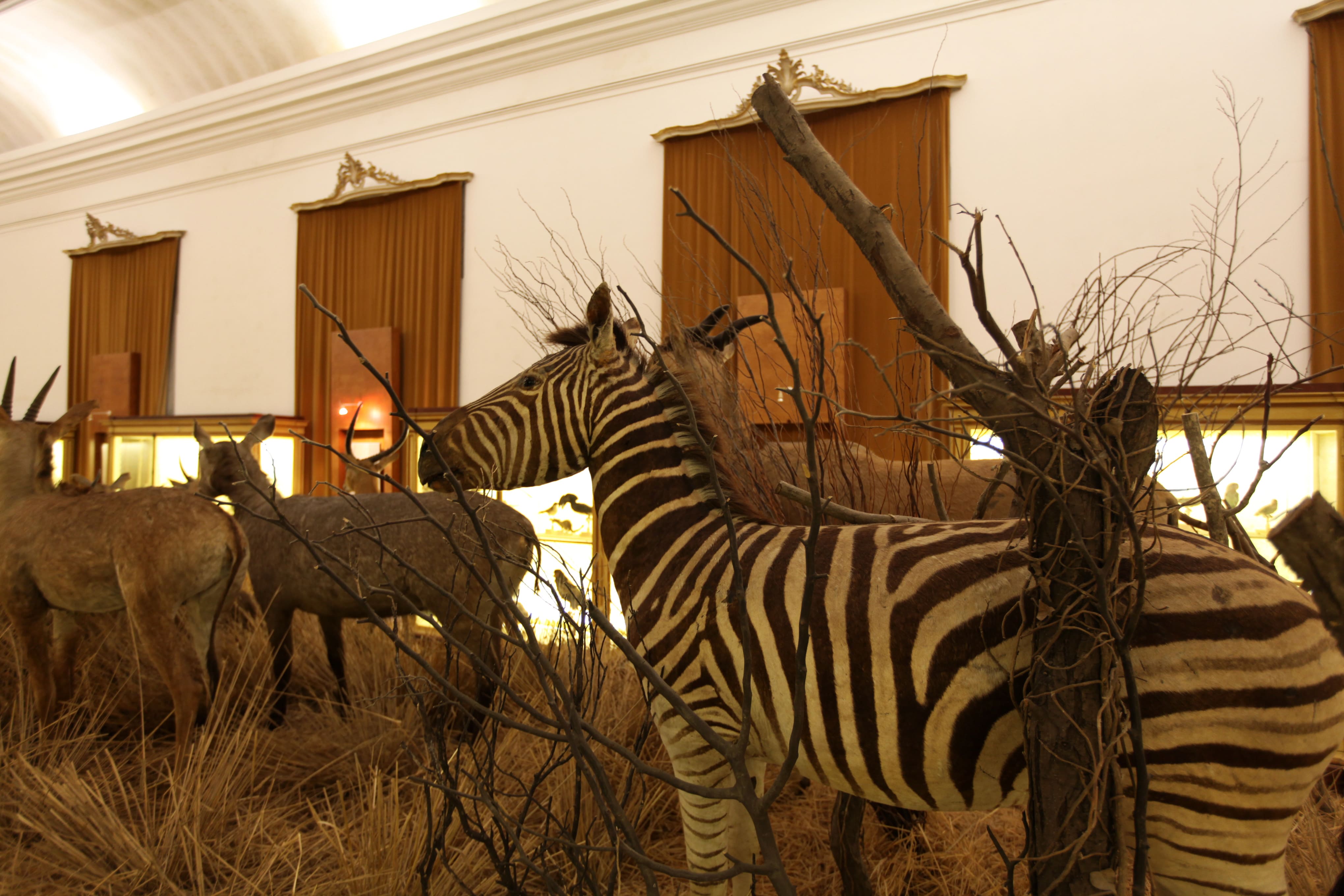 Museu Ciência - Science Museum