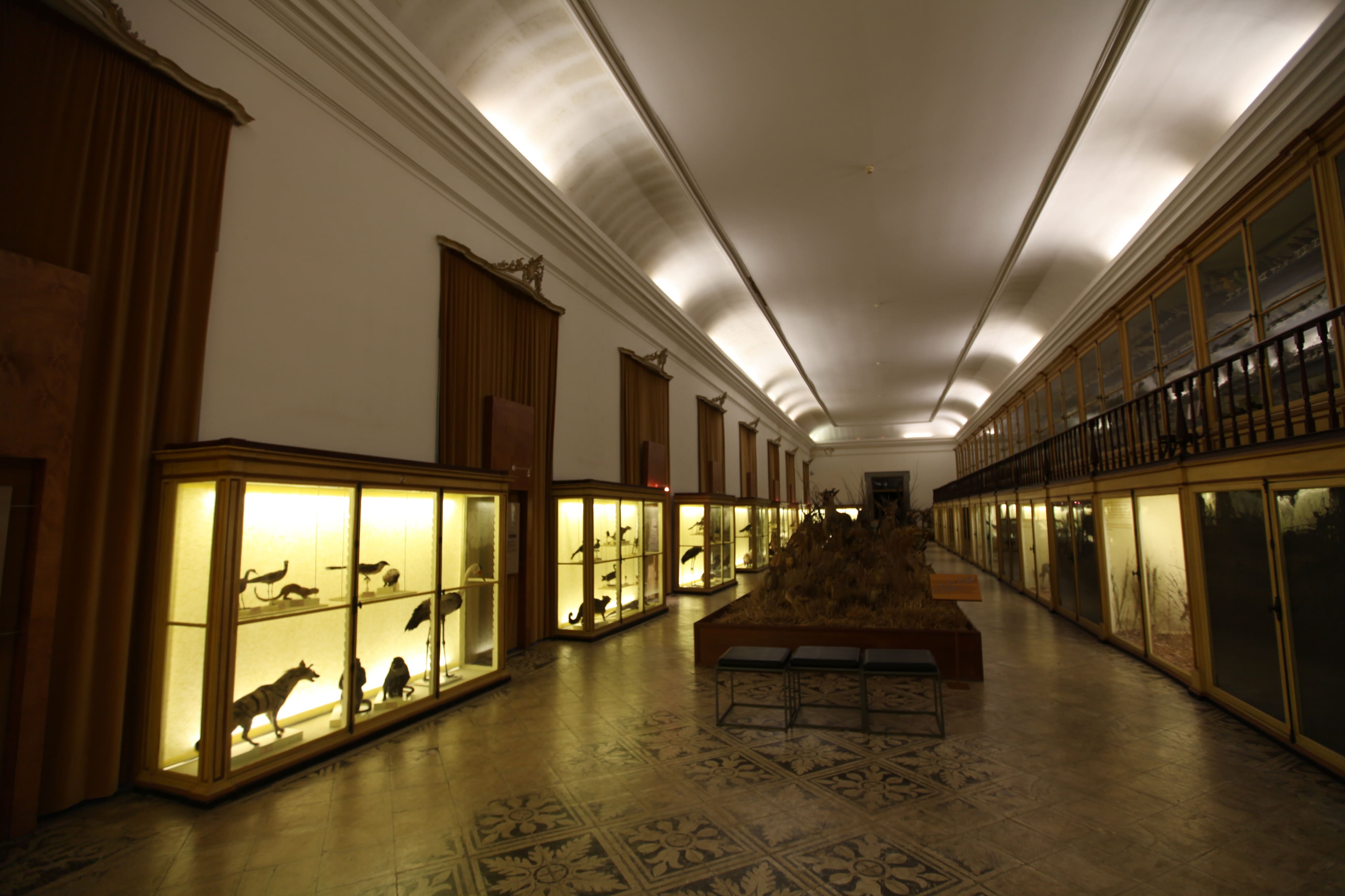 Museu Ciência - Science Museum