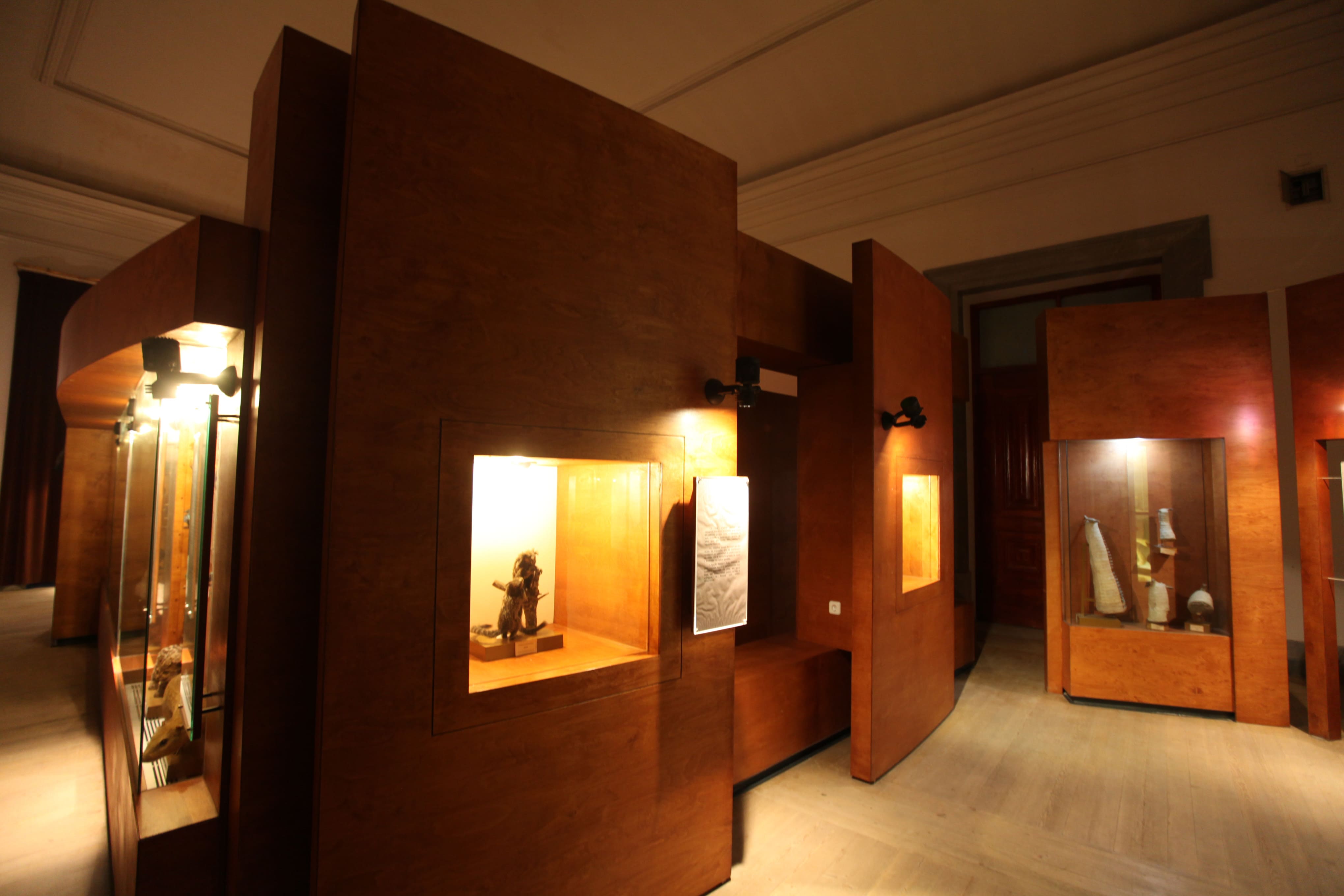 Museu Ciência - Science Museum