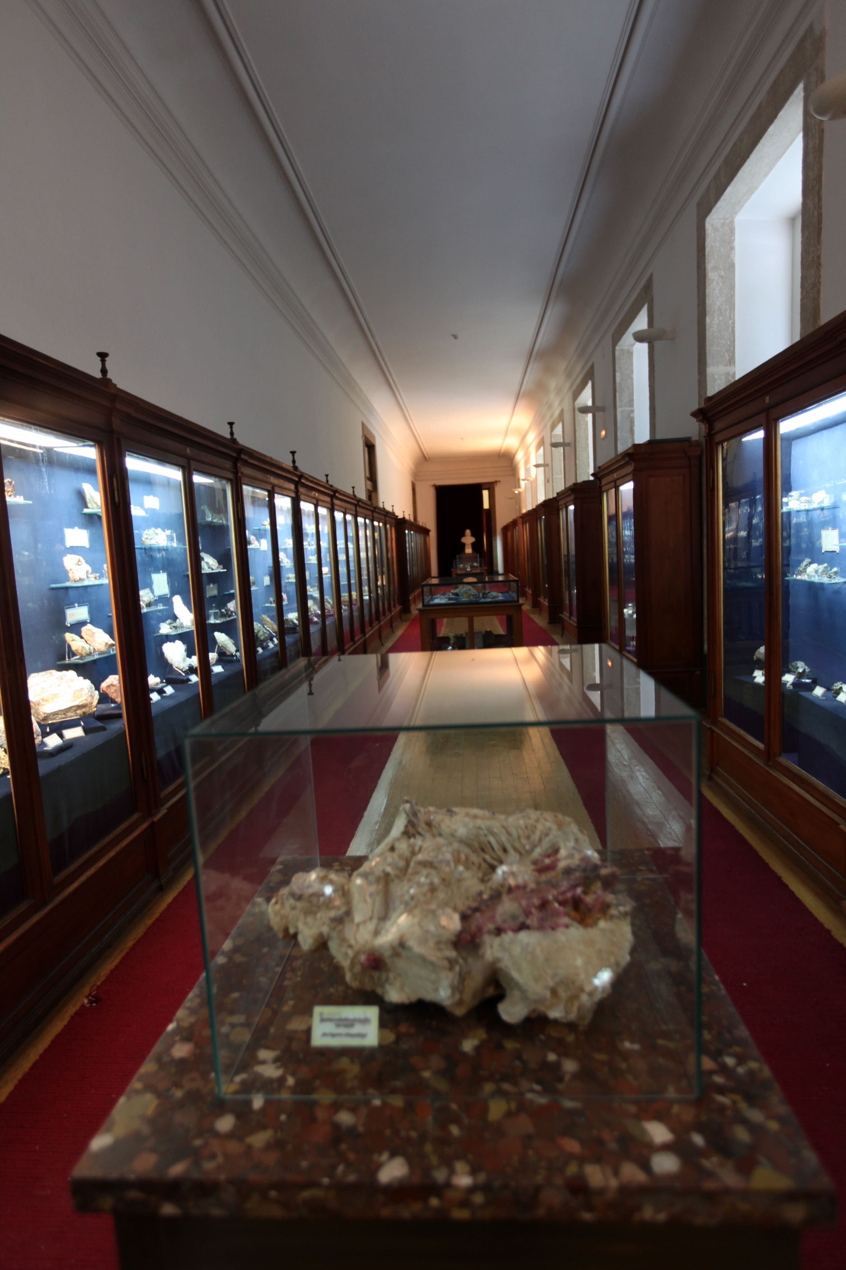 Museu Ciência - Science Museum