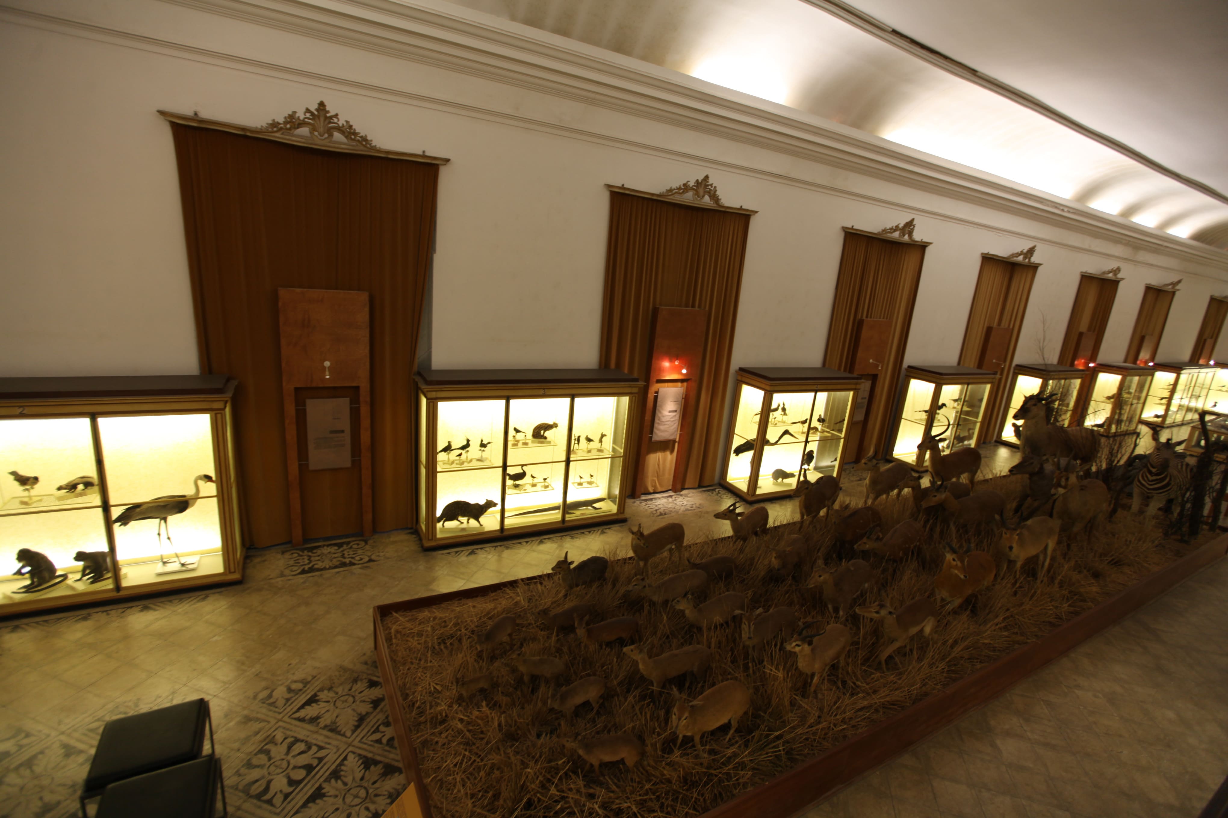 Museu Ciência - Science Museum