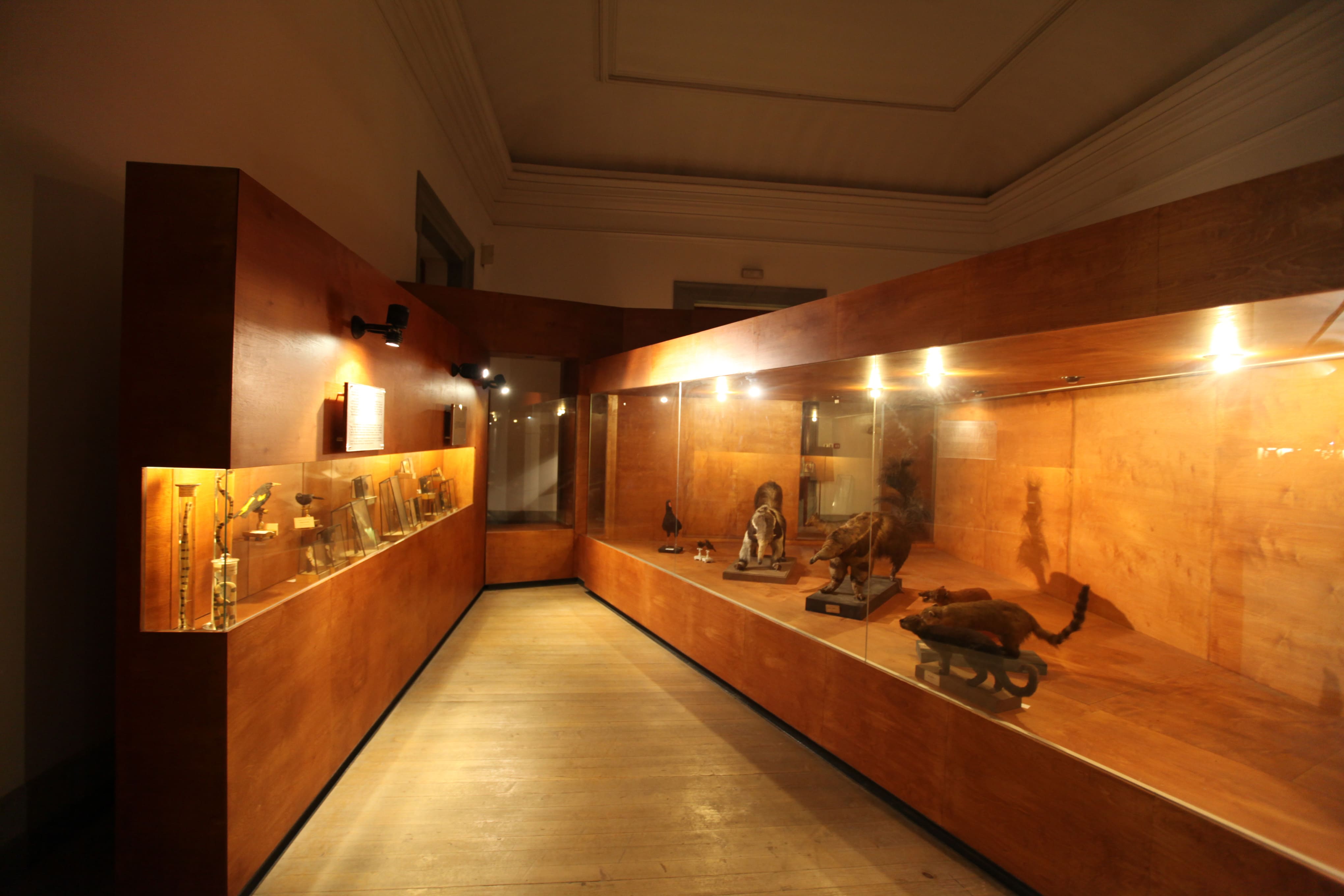 Museu Ciência - Science Museum