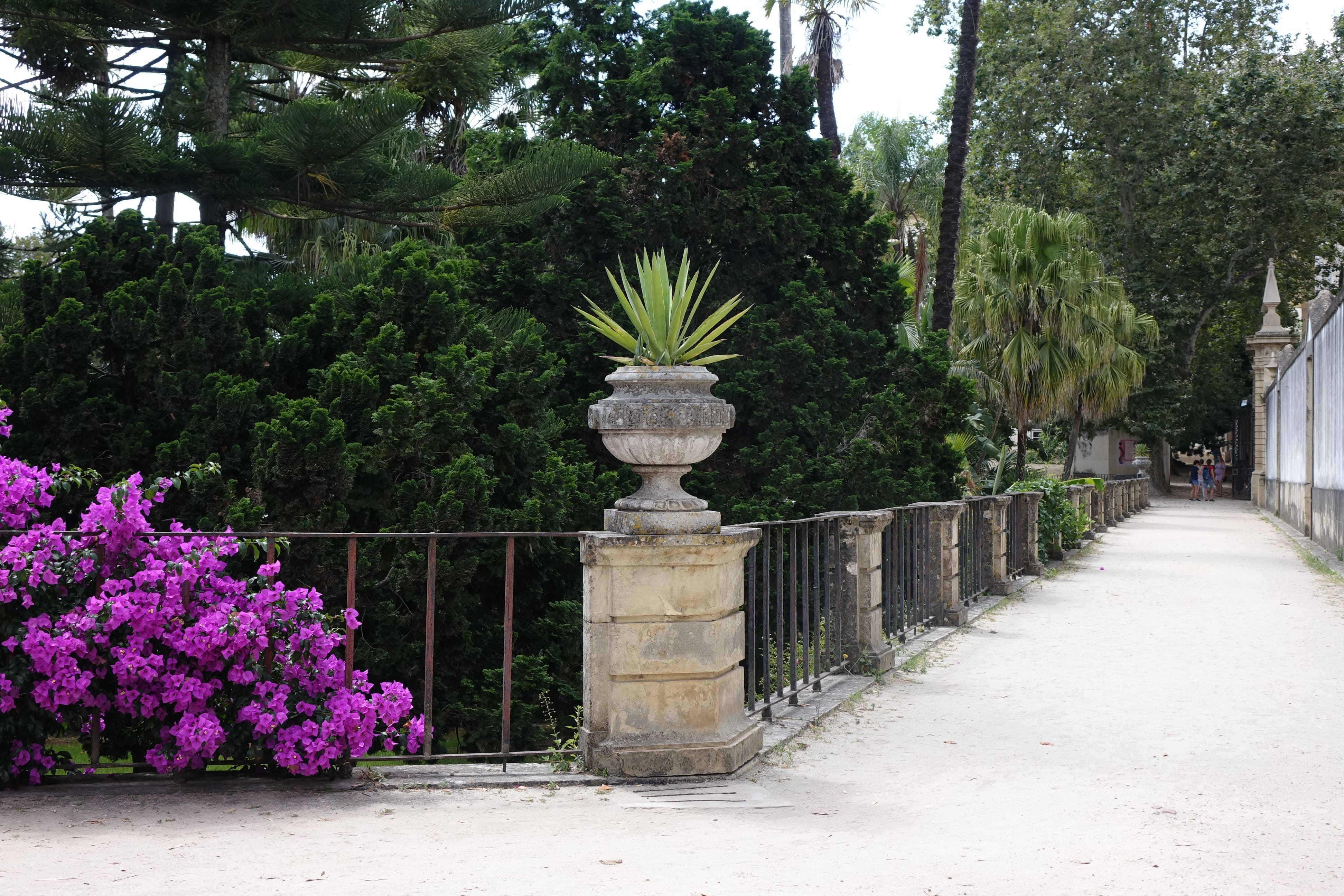 Jardín Botánico de la Universidad de Coimbra