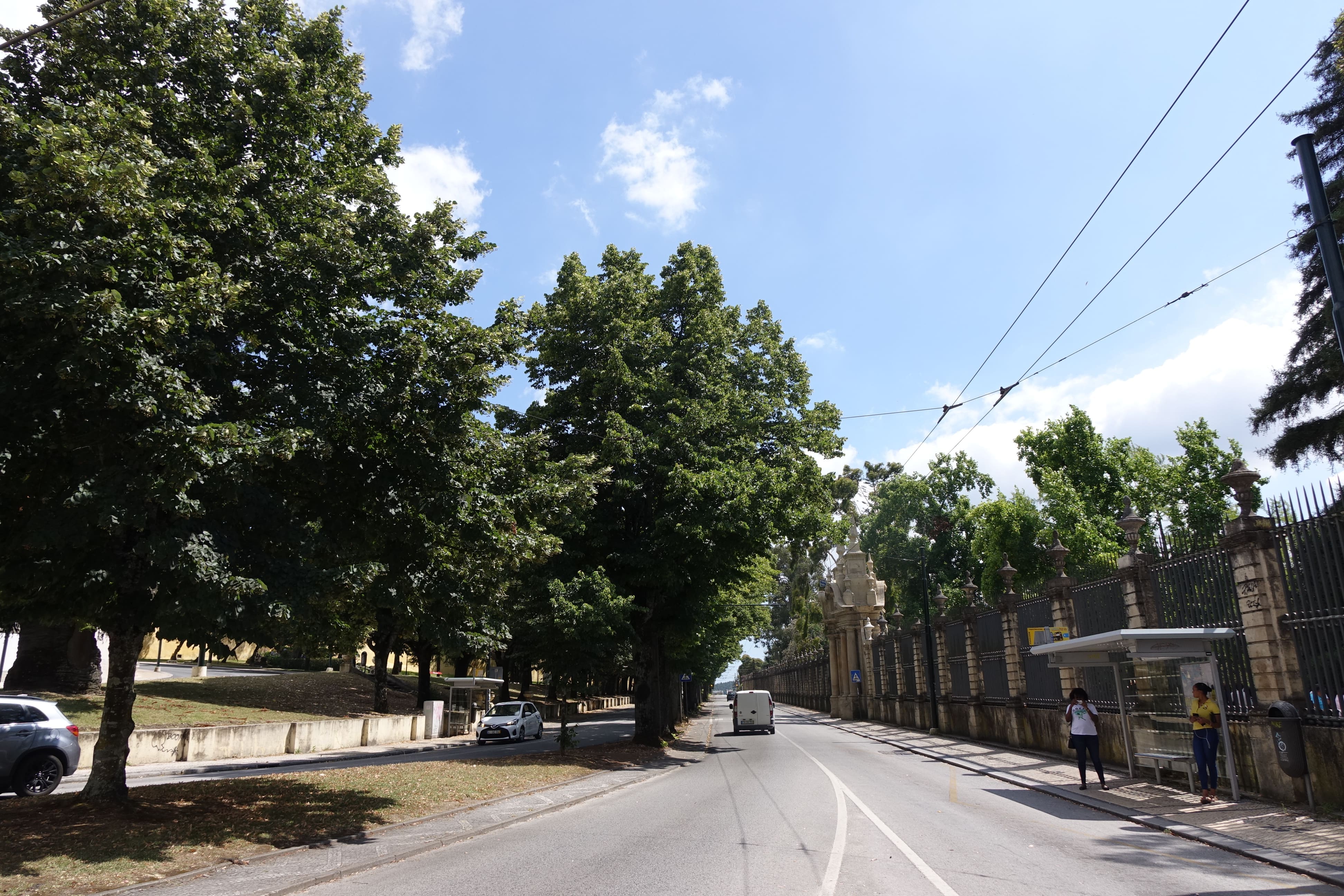 Jardín Botánico de la Universidad de Coimbra