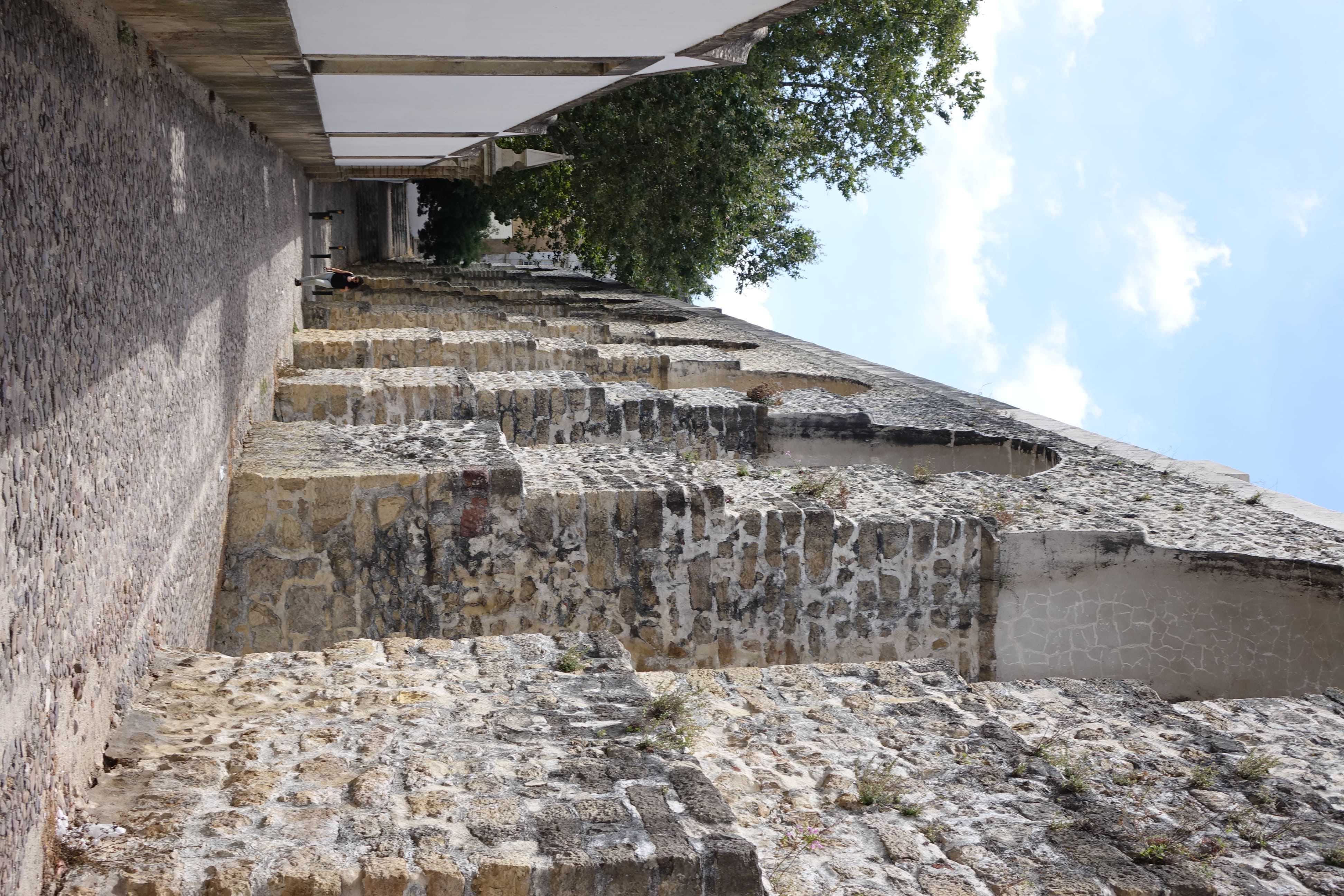 Jardín Botánico de la Universidad de Coimbra