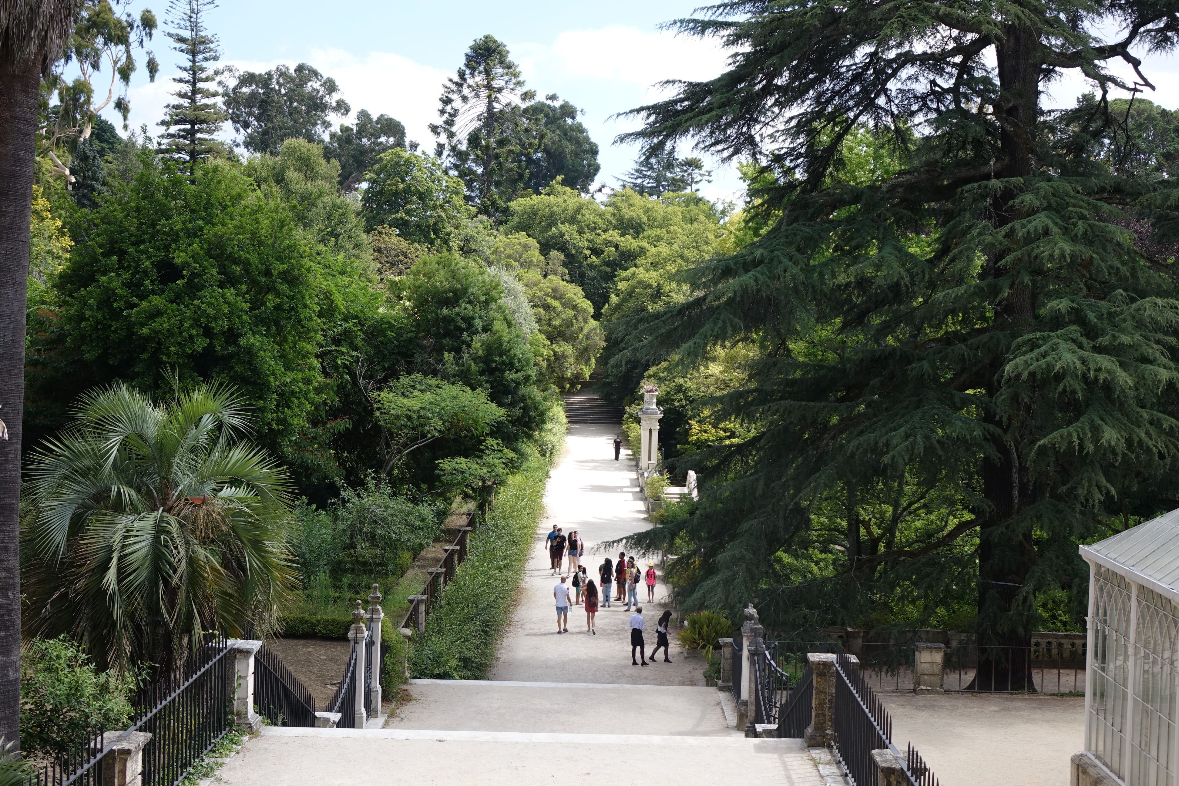 Jardín Botánico de la Universidad de Coimbra