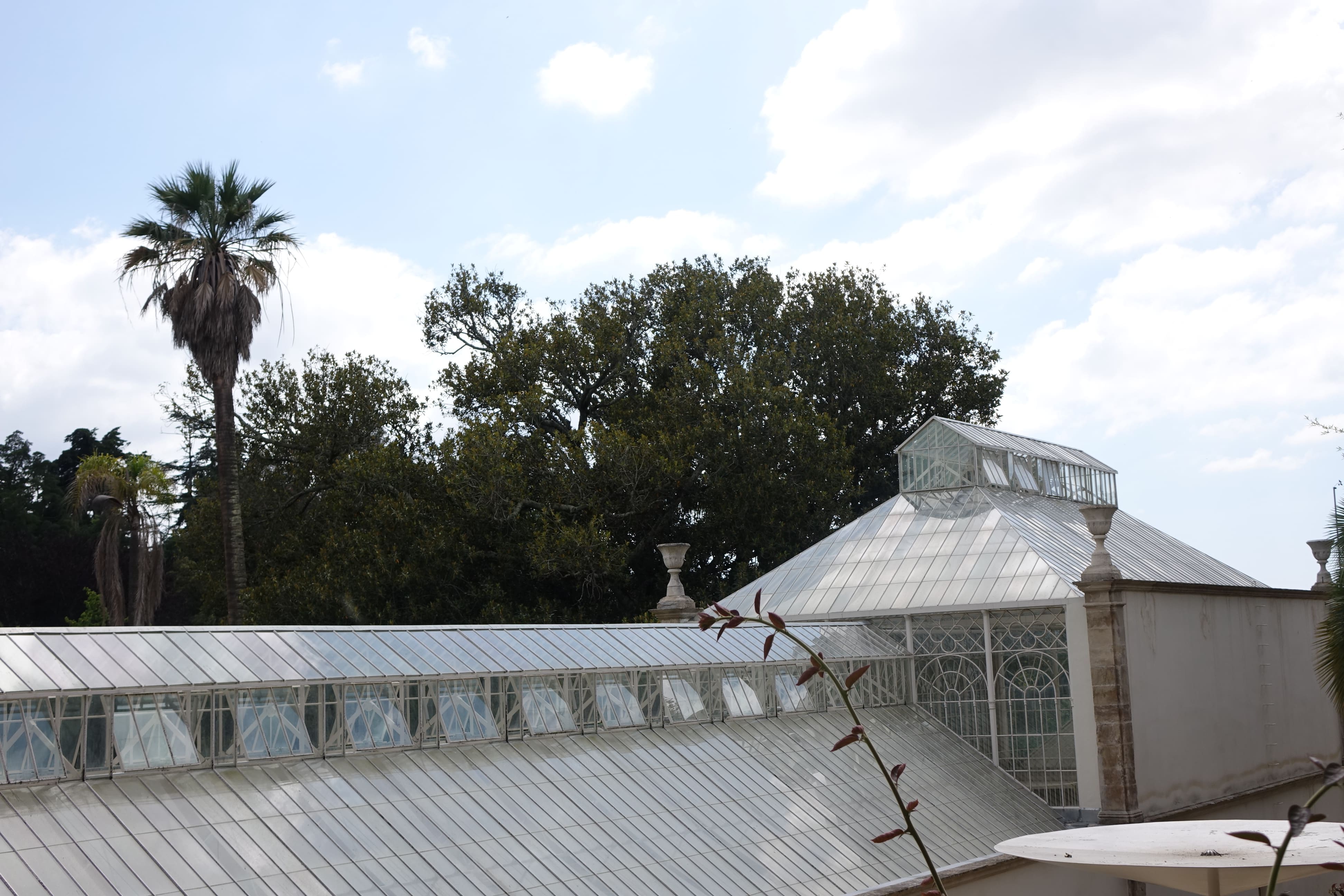 Jardín Botánico de la Universidad de Coimbra