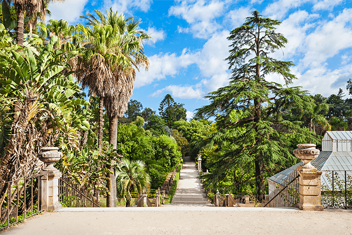 Jardín Botánico de la Universidad de Coimbra