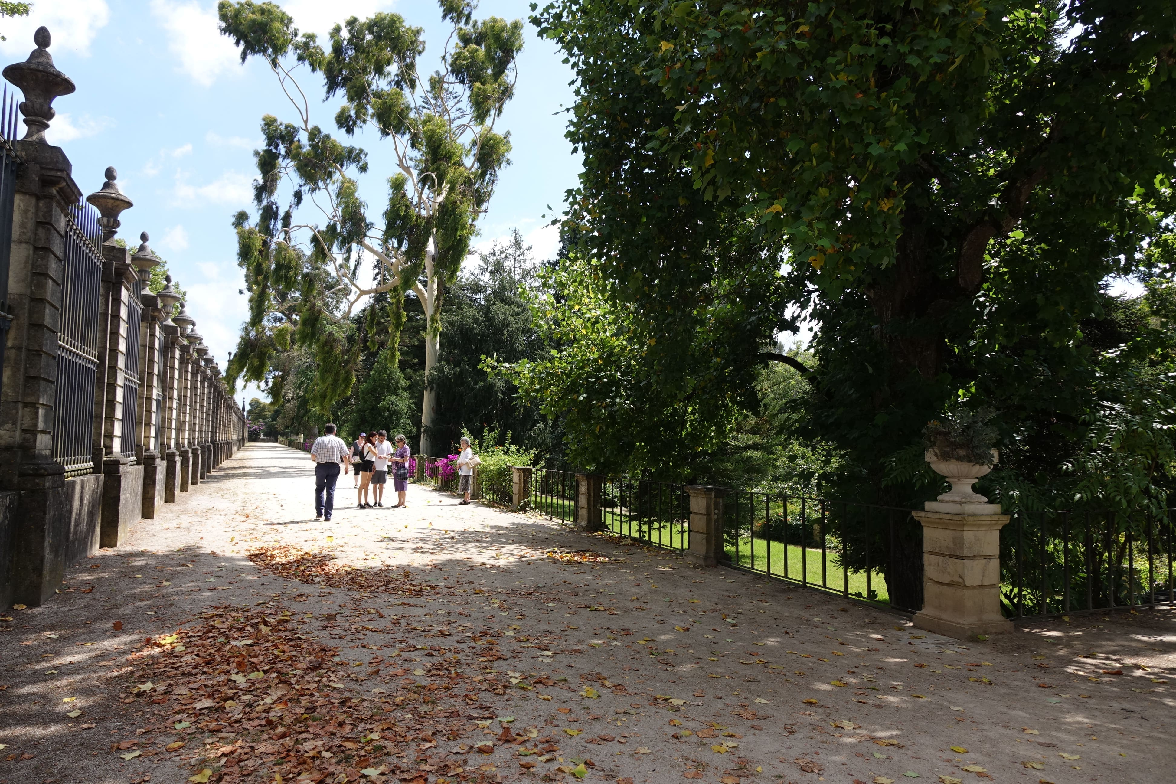Jardín Botánico de la Universidad de Coimbra