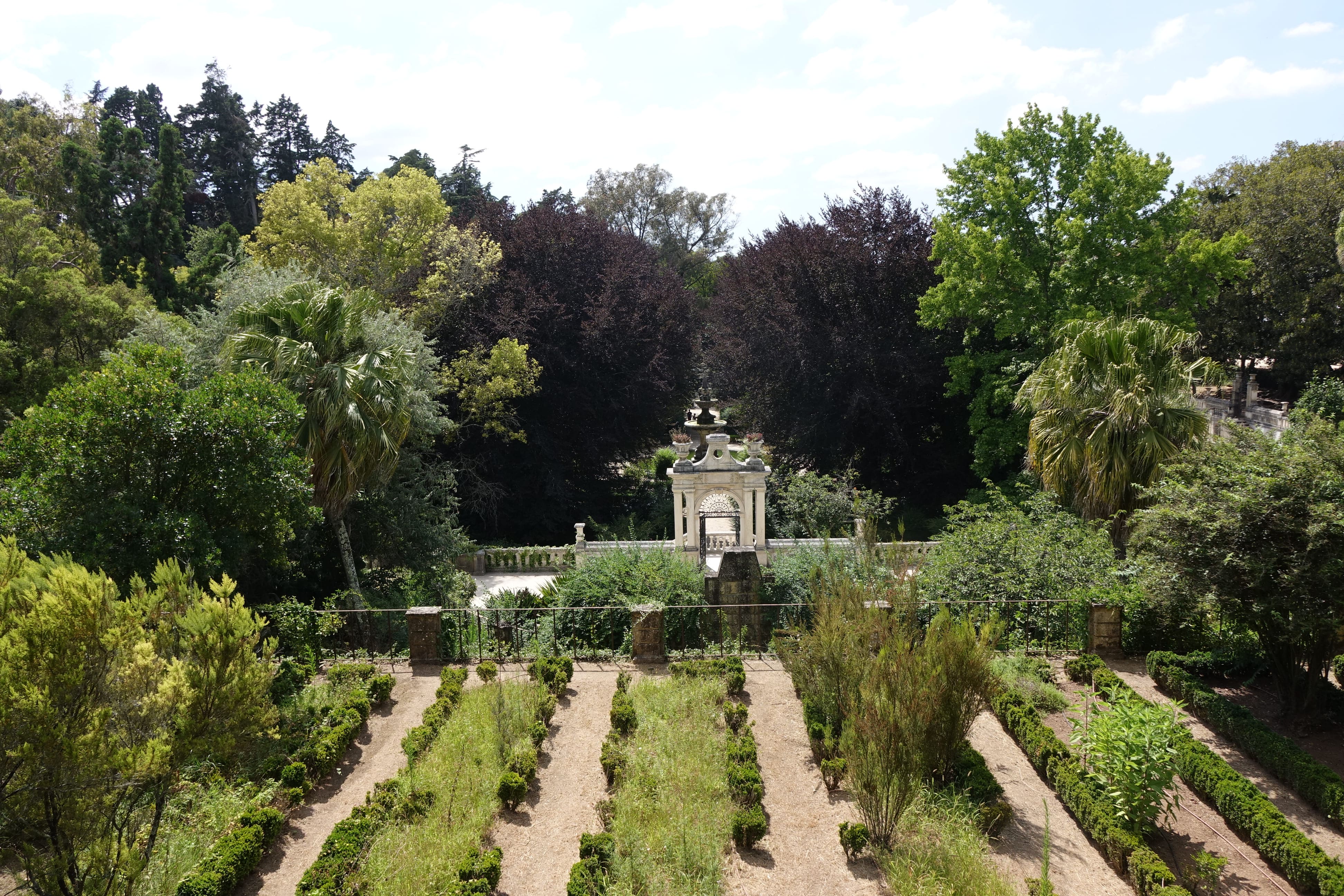 Jardín Botánico de la Universidad de Coimbra