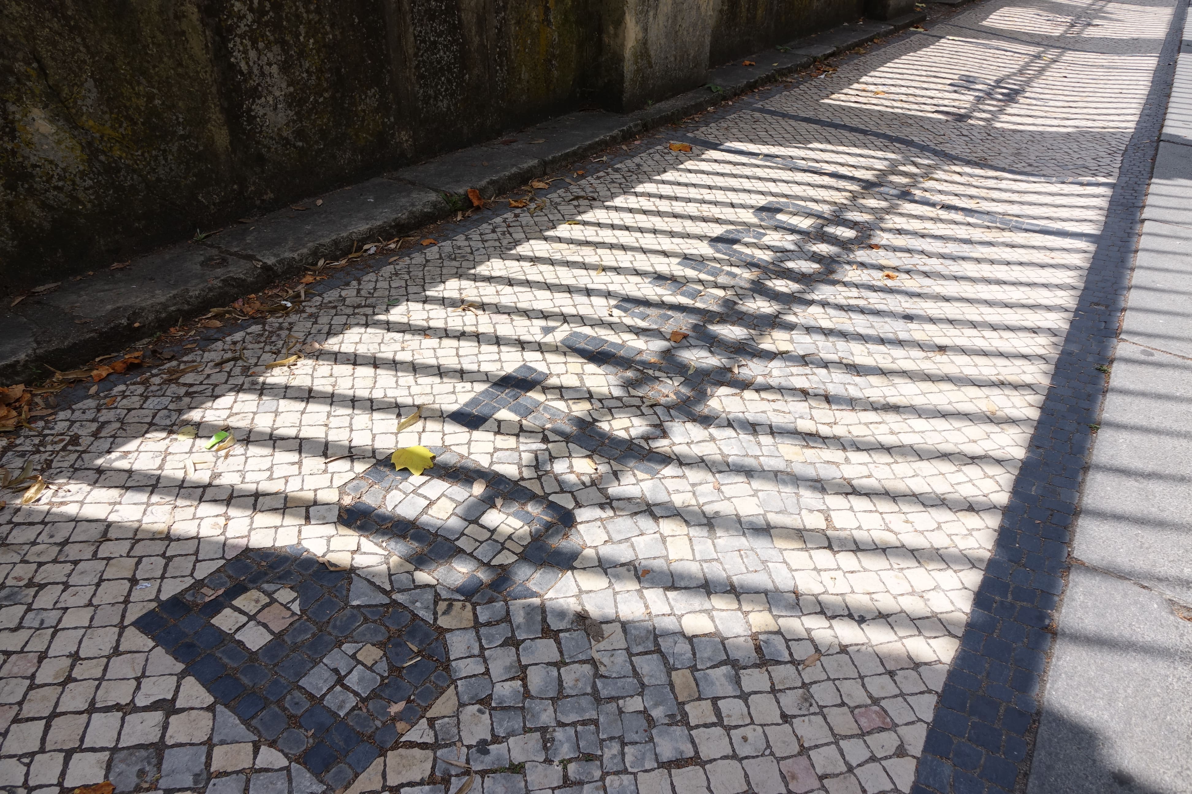 Jardín Botánico de la Universidad de Coimbra