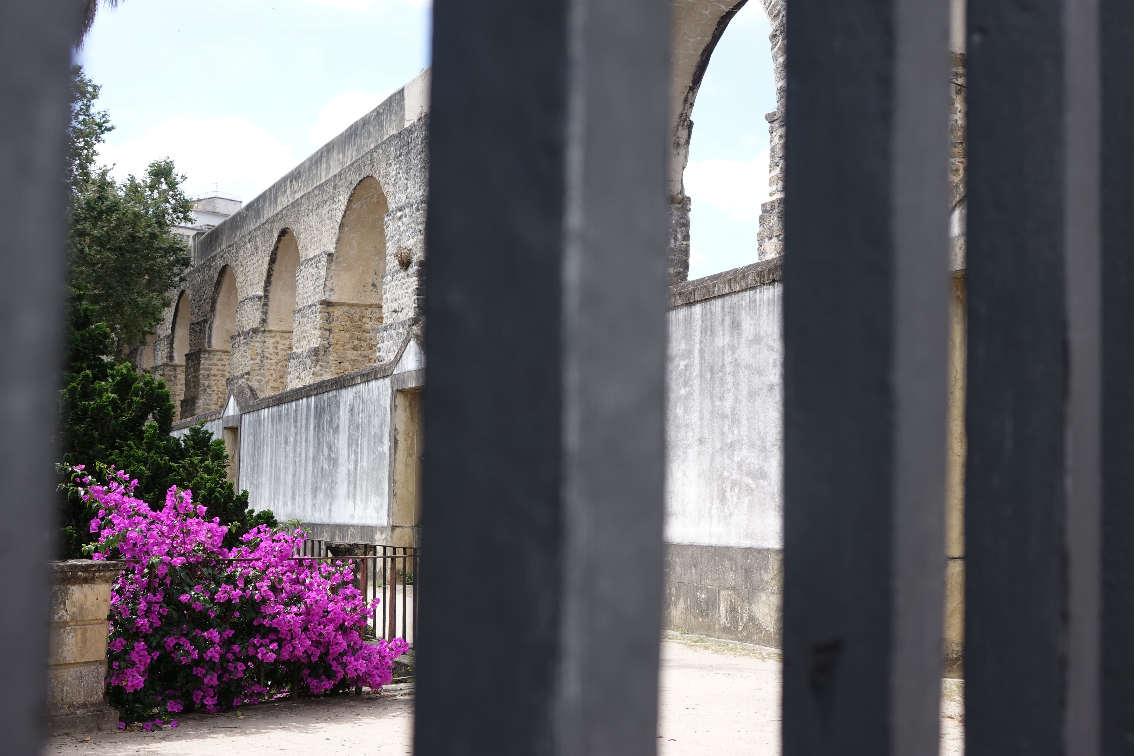 Jardín Botánico de la Universidad de Coimbra