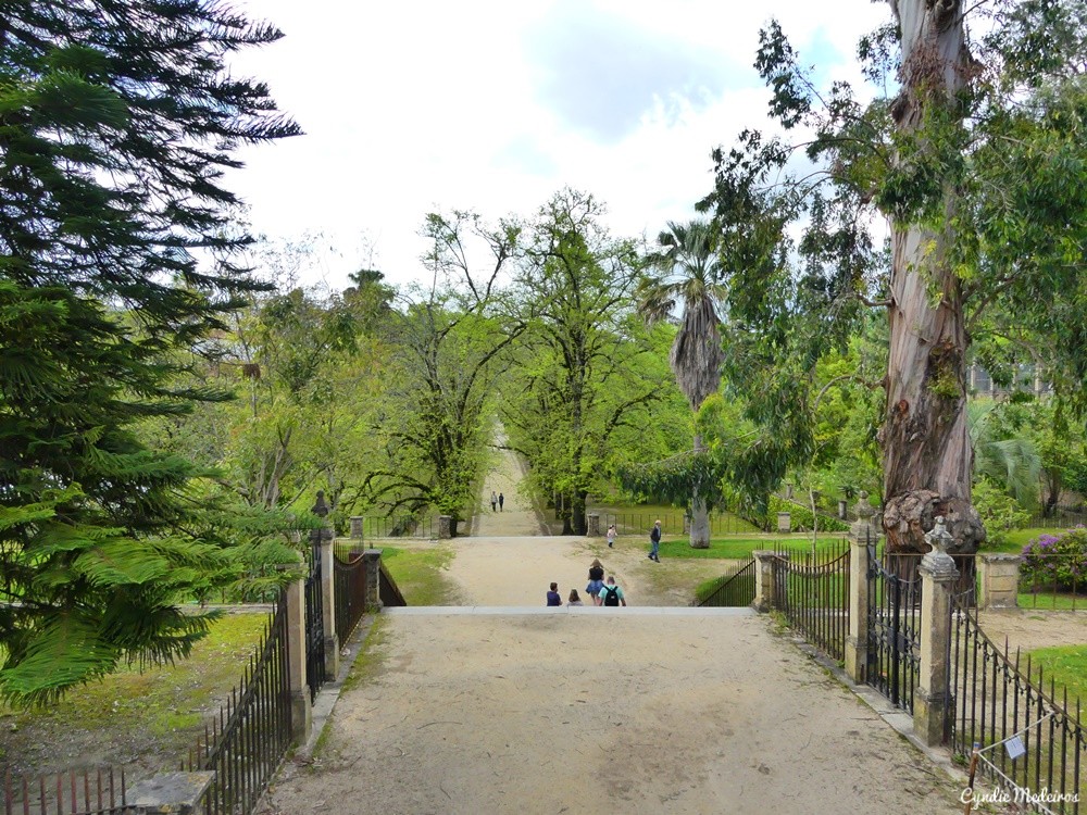 Jardín Botánico de la Universidad de Coimbra
