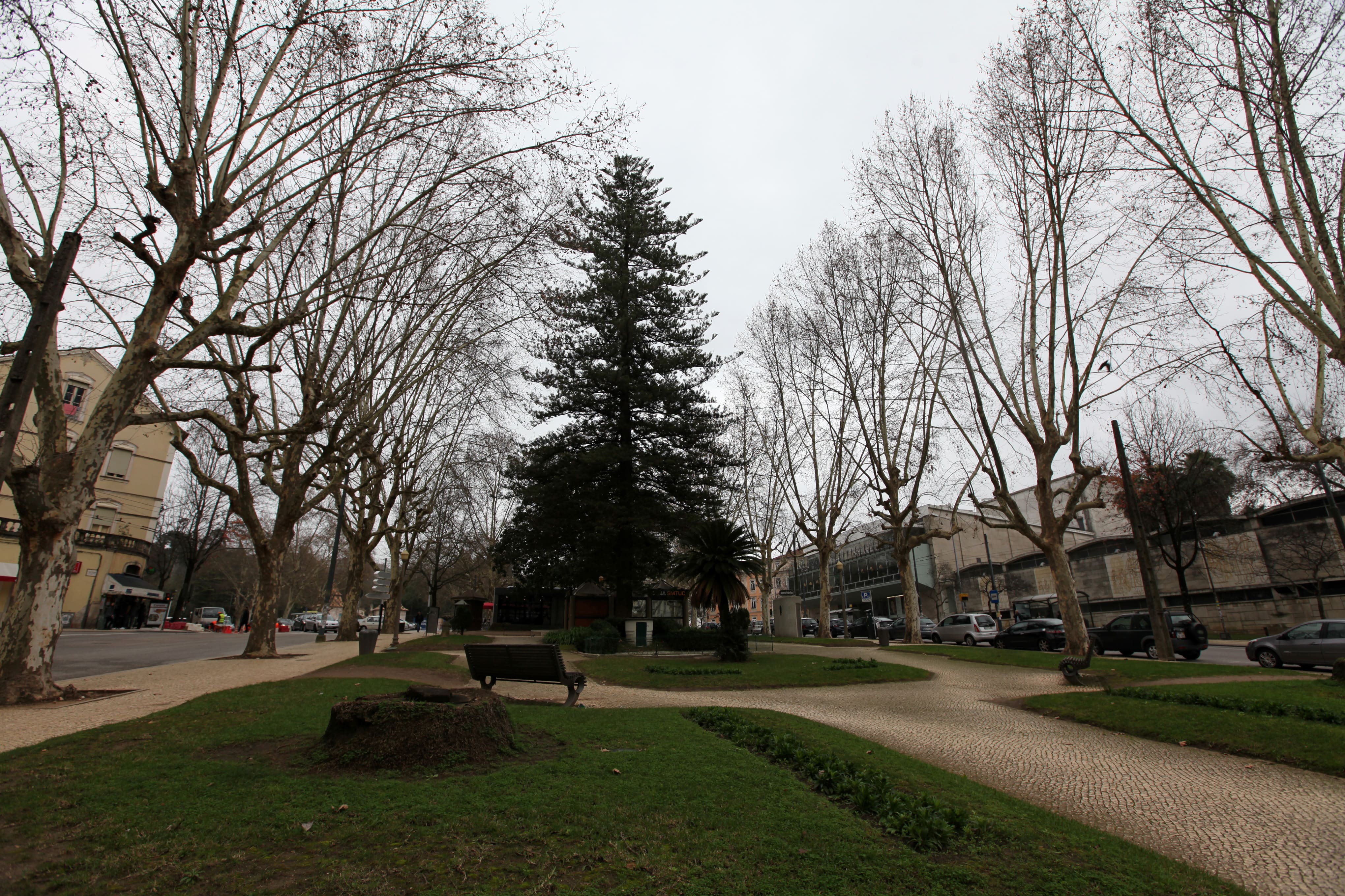 Sá da Bandeira Garden